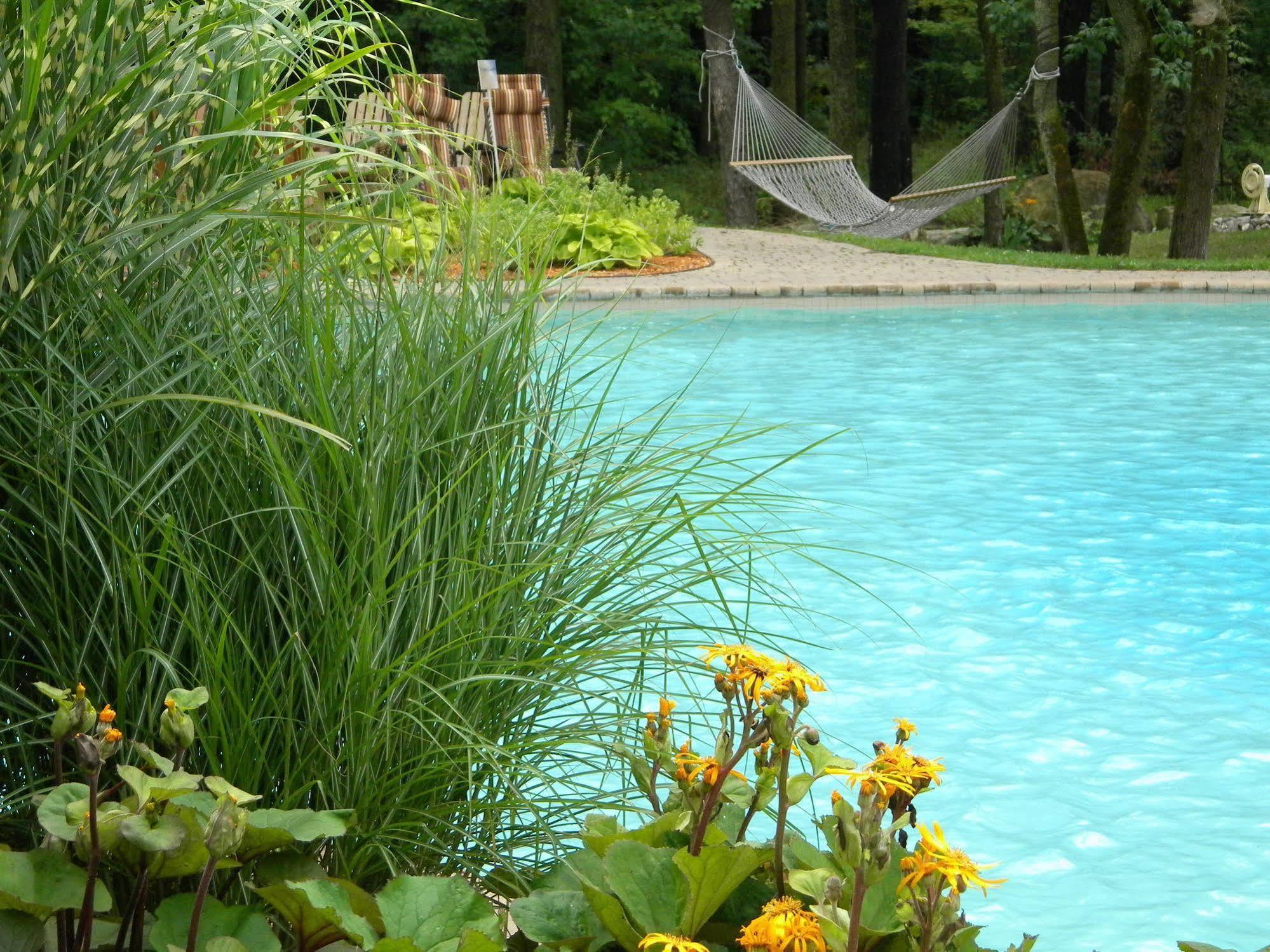 Hotel L'Oasis de l'Île à Saint-Eustache Extérieur photo